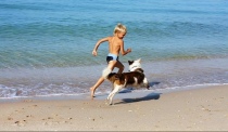 Al mare in spiagga con il proprio cane: diritti e doveri